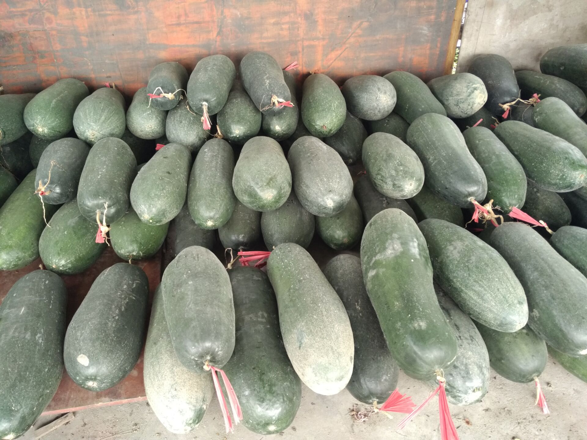 4E3A0CB2E36D76B556CA5674FD5382E6.jpg 4E3A0CB2E36D76B556CA5674FD5382E6.jpg